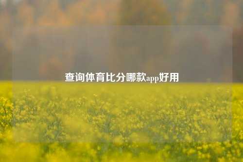 查询体育比分哪款app好用