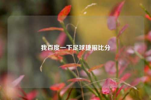 我百度一下足球捷报比分
