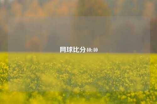 网球比分40:40