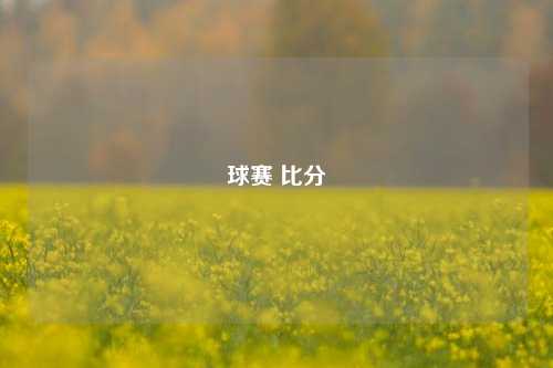 球赛 比分