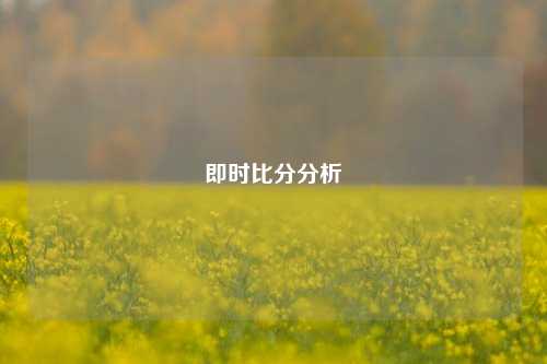 即时比分分析