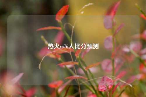 热火vs76人比分预测