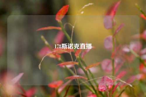 178斯诺克直播