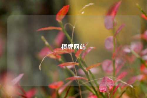 棋牌网站