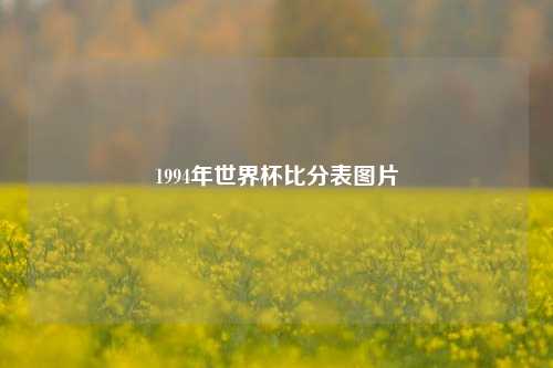 1994年世界杯比分表图片