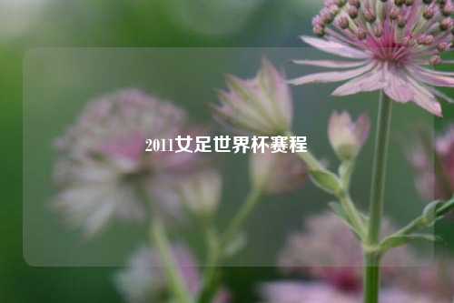 2011女足世界杯赛程