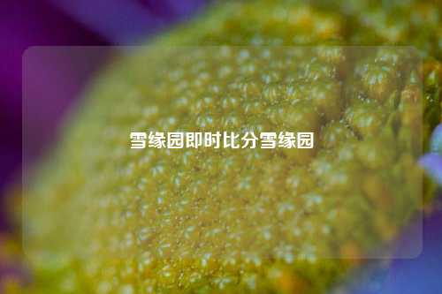 雪缘园即时比分雪缘园