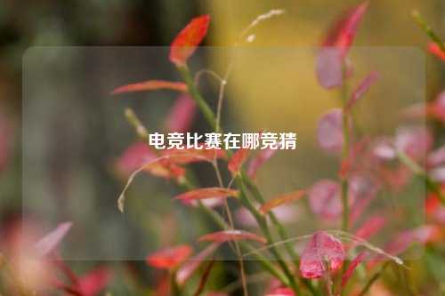 电竞比赛在哪竞猜