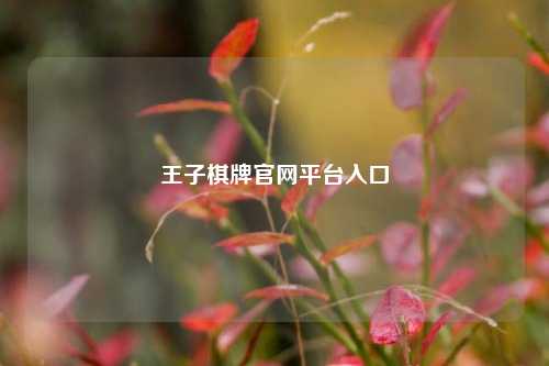 王子棋牌官网平台入口