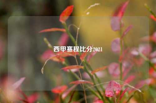 西甲赛程比分2021
