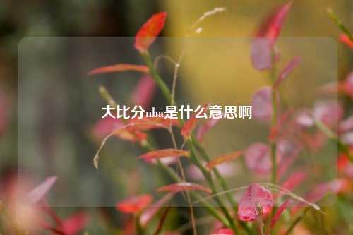 大比分nba是什么意思啊