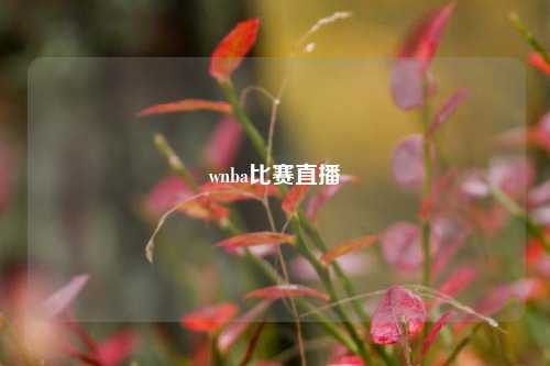 wnba比赛直播