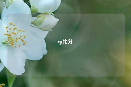 vp比分