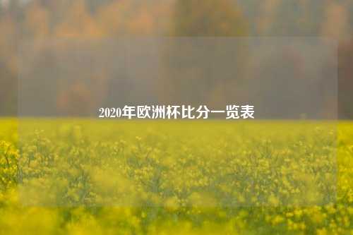 2020年欧洲杯比分一览表
