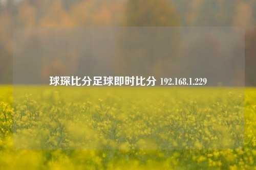 球琛比分足球即时比分 192.168.1.229