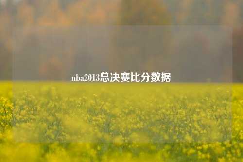 nba2013总决赛比分数据