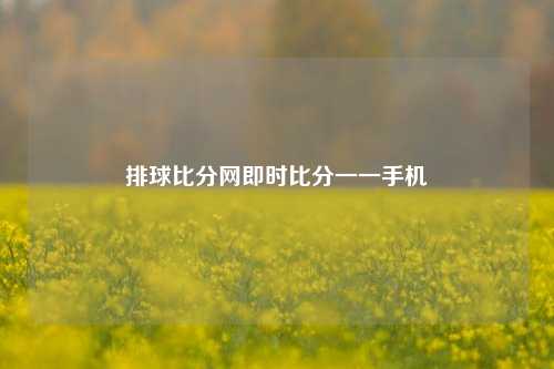 排球比分网即时比分——手机