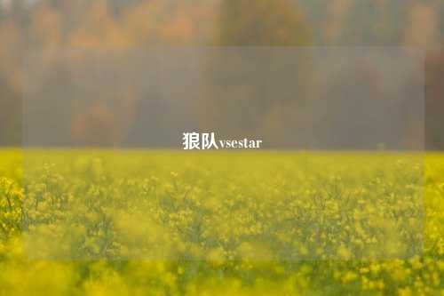 狼队vsestar