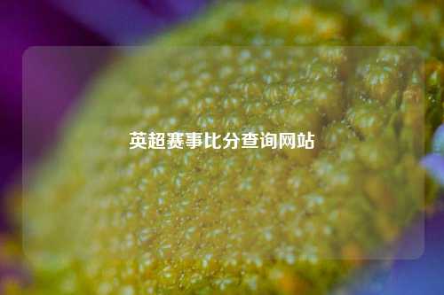 英超赛事比分查询网站