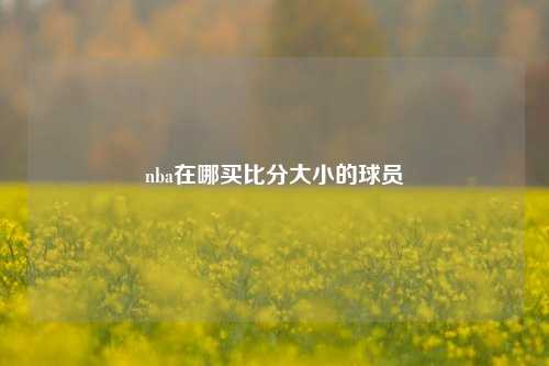 nba在哪买比分大小的球员