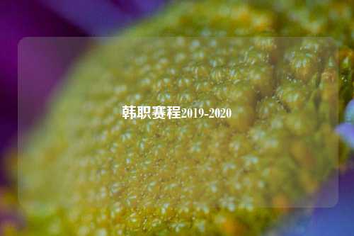 韩职赛程2019-2020