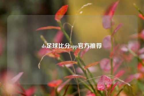 ds足球比分app官方推荐