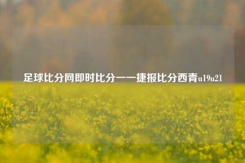 足球比分网即时比分一一捷报比分西青u19u21