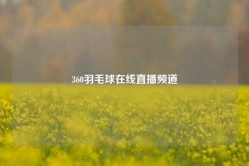 360羽毛球在线直播频道