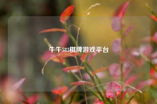 牛牛583棋牌游戏平台