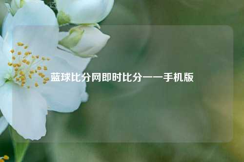 蓝球比分网即时比分一一手机版