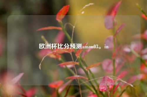 欧洲杯比分预测aman03。in