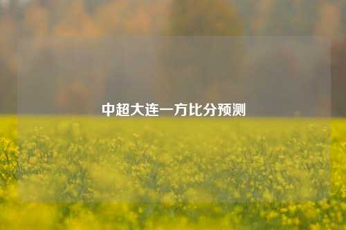 中超大连一方比分预测