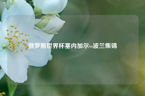 俄罗斯世界杯塞内加尔vs波兰集锦